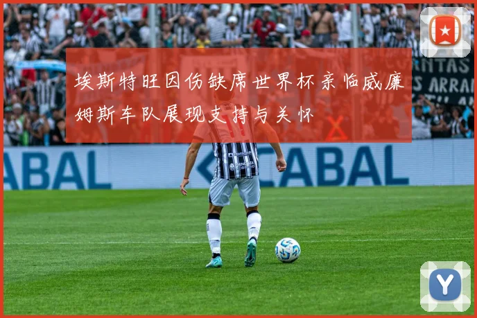 埃斯特旺因伤缺席世界杯亲临威廉姆斯车队展现支持与关怀